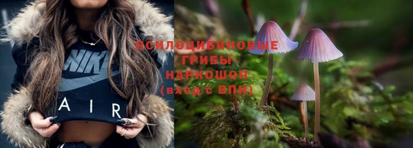 спайс Алексин