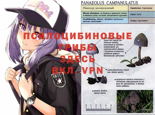 синтетический гашиш Алзамай