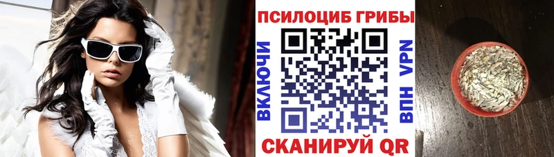 Псилоцибиновые грибы Psilocybe  Бавлы 